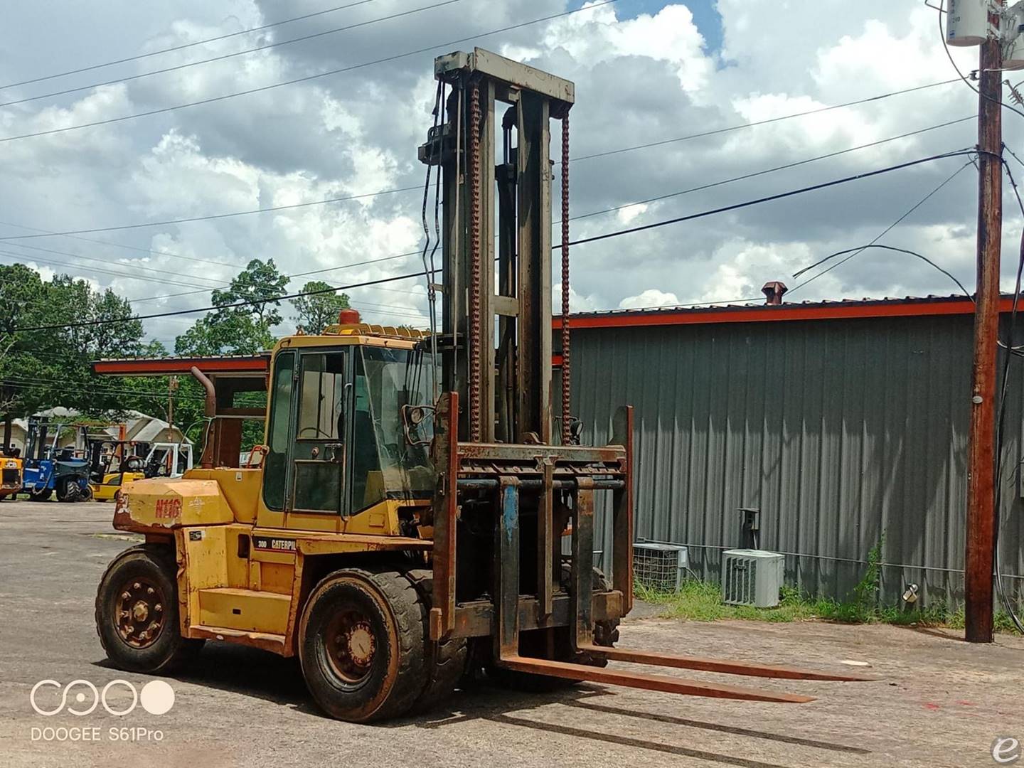 2000 Cat DP135