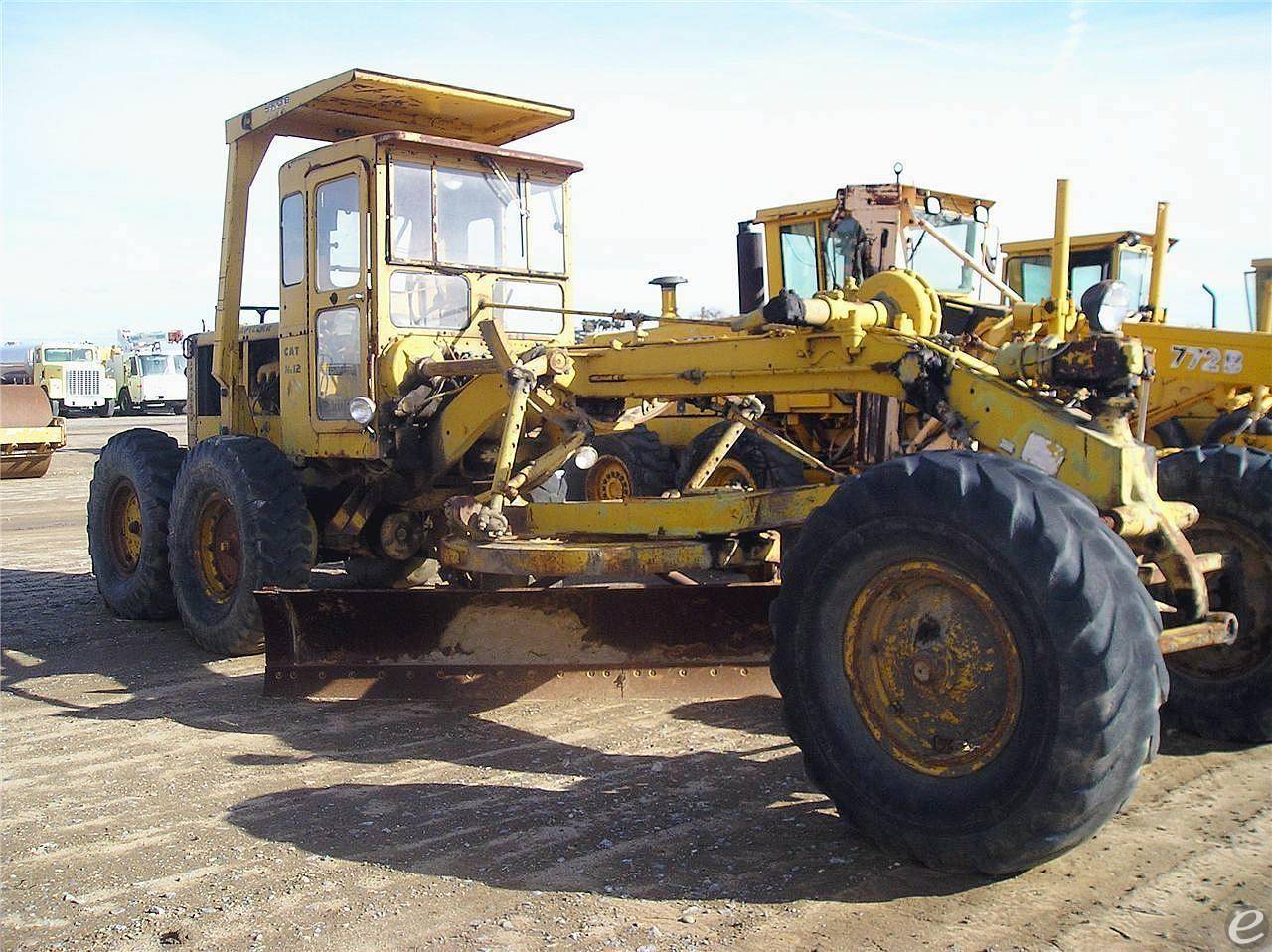 Cat 12