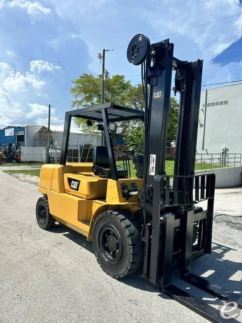 Cat DP50K  FD50K1
