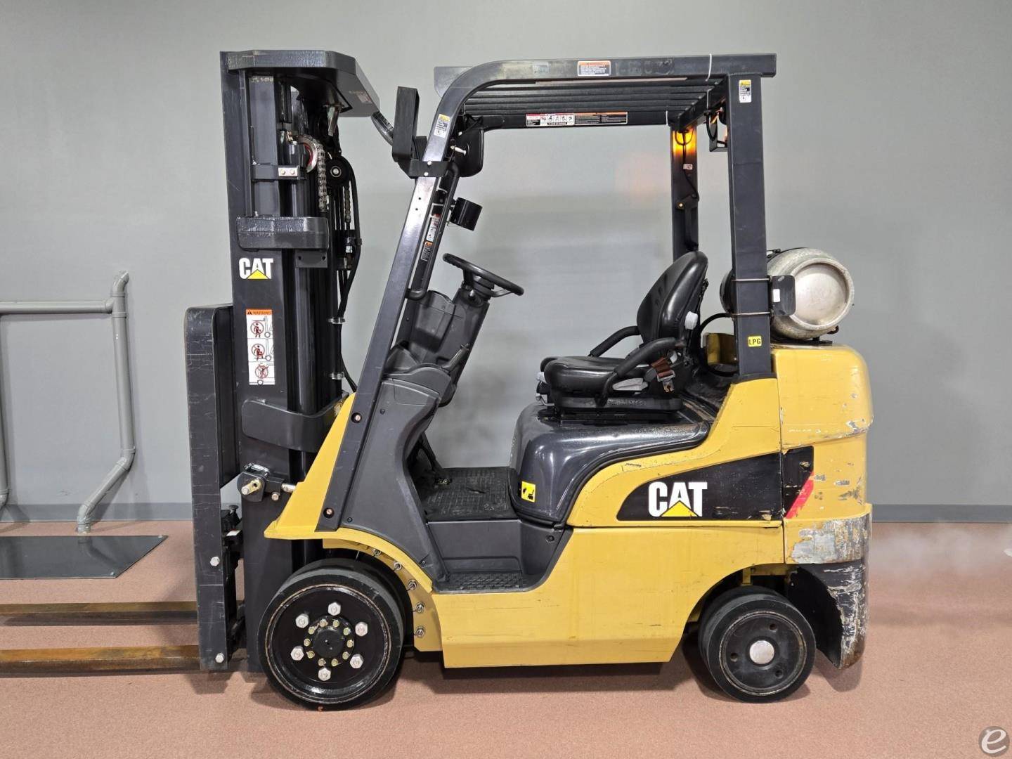 2019 Cat                           ...