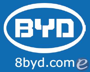 2022 BYD ECB50